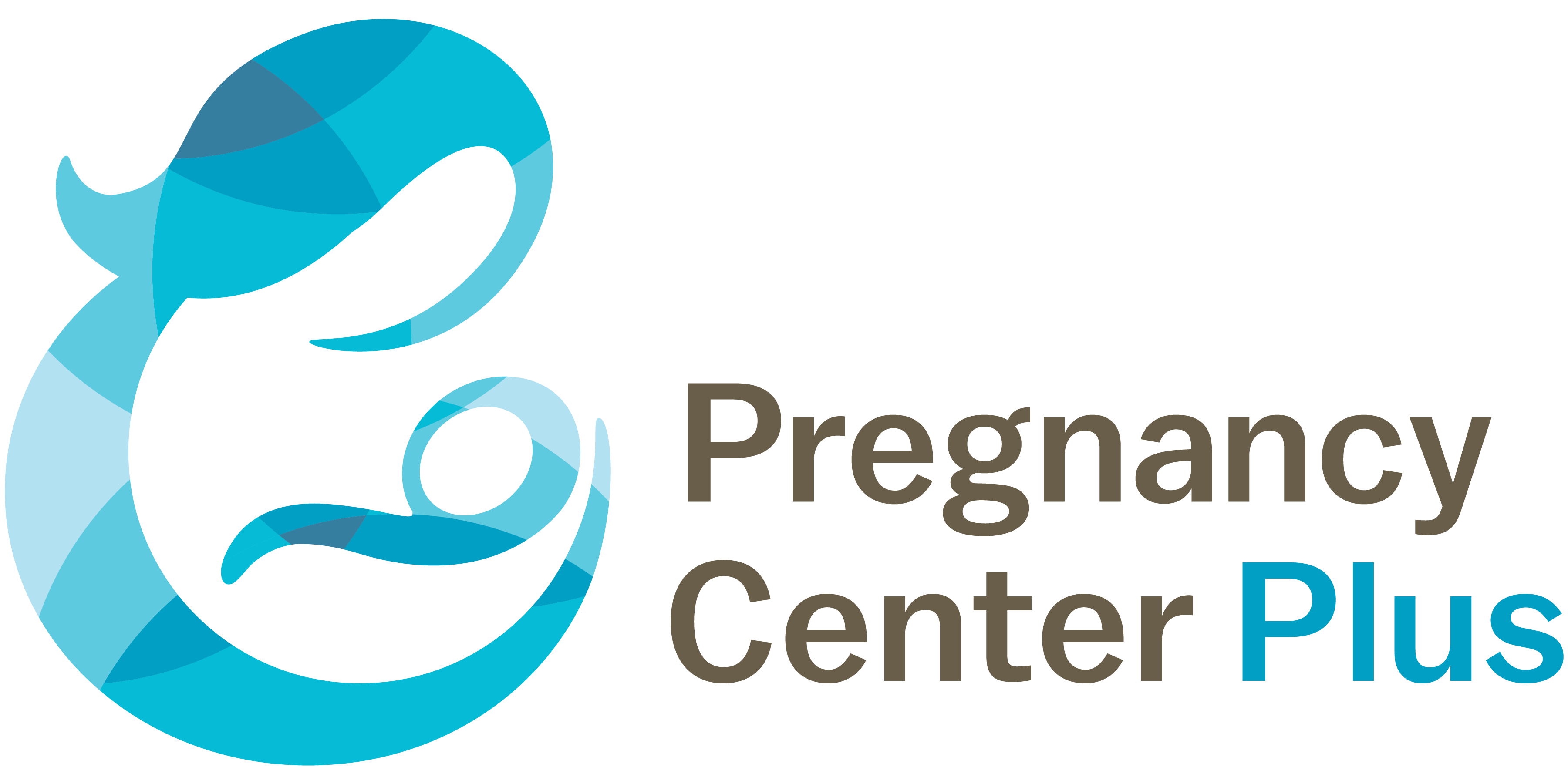 Pregnancy Eenter East Logo